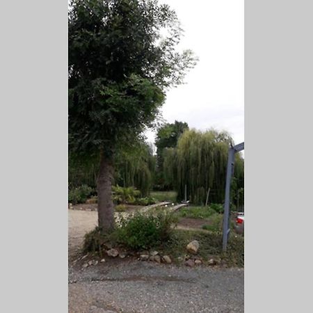 Entre Vignes Et Loire Apartment Blaison-Saint-Sulpice Bagian luar foto