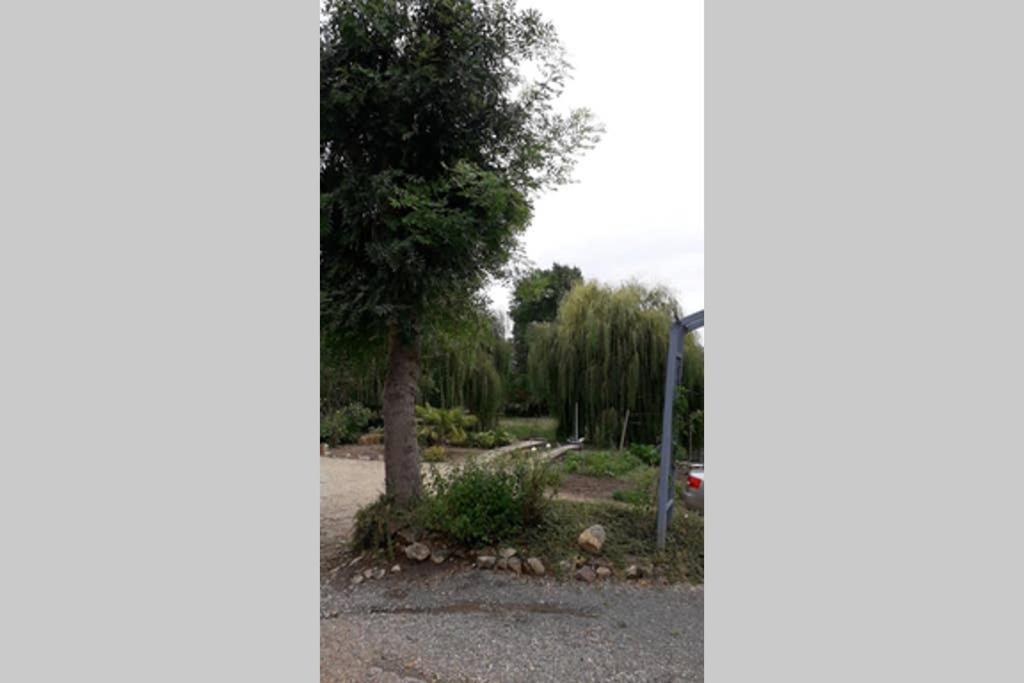Entre Vignes Et Loire Apartment Blaison-Saint-Sulpice Bagian luar foto