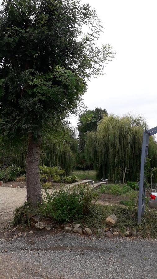 Entre Vignes Et Loire Apartment Blaison-Saint-Sulpice Bagian luar foto